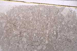 Plane Polarized, E41873