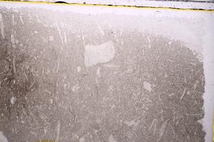Plane Polarized, E41876