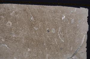 Cross Polarized, E41878