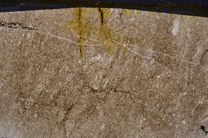 Cross Polarized, E41879