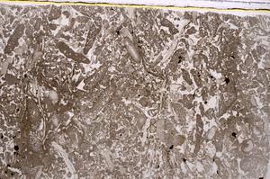 Plane Polarized, E41881