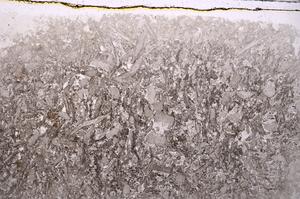 Plane Polarized, E41882