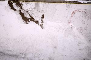 Plane Polarized, E41895