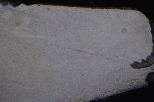 Cross Polarized, E41896