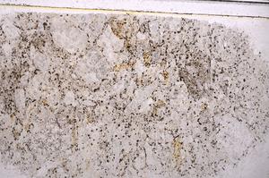 Plane Polarized, E41937