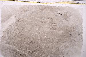 Plane Polarized, E41940