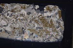 Cross Polarized, E41950