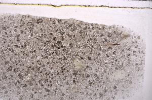 Plane Polarized, E41974