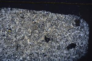 Cross Polarized, E41974