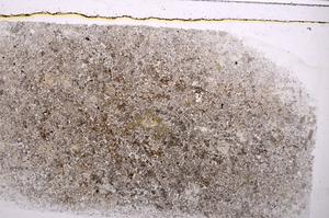 Plane Polarized, E41975