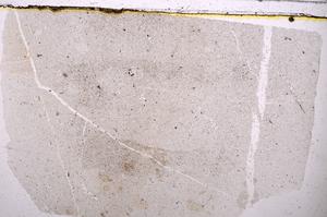 Plane Polarized, E41976