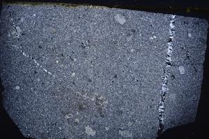 Cross Polarized, E41976