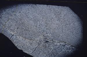 Cross Polarized, E41977