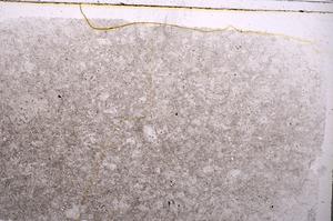 Plane Polarized, E41978