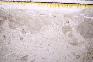 Plane Polarized, E41979