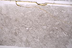 Plane Polarized, E41979/A