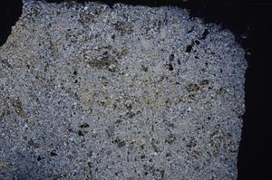 Cross Polarized, E41980