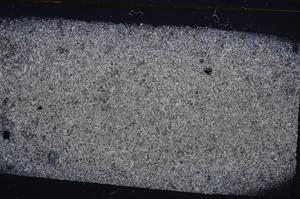 Cross Polarized, E41983