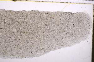 Plane Polarized, E41984