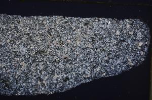 Cross Polarized, E41984