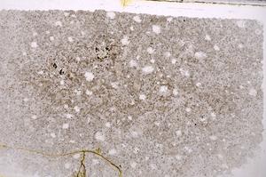 Plane Polarized, E41986