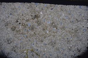 Cross Polarized, E41986