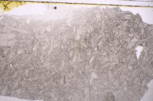 Plane Polarized, E41999/A