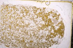 Plane Polarized, E42054