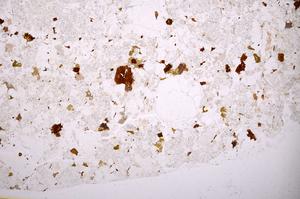 Plane Polarized, E42058