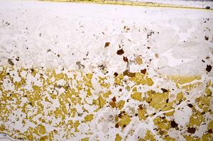 Plane Polarized, E42060/A