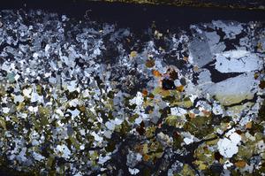 Cross Polarized, E42060/A