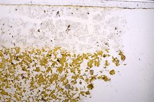 Plane Polarized, E42060/B