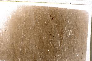 Plane Polarized, E42070