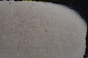 Cross Polarized, E42075