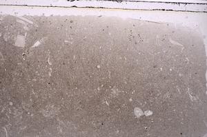 Plane Polarized, E42077
