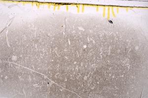 Plane Polarized, E42078