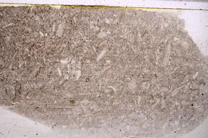 Plane Polarized, E42082