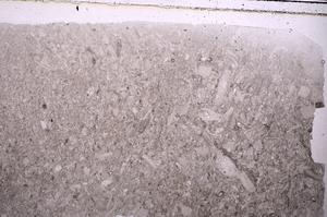 Plane Polarized, E42085