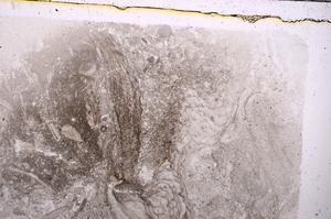 Plane Polarized, E42086