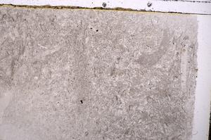 Plane Polarized, E42091