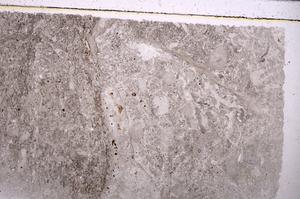 Plane Polarized, E42092