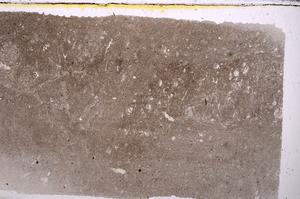 Plane Polarized, E42093