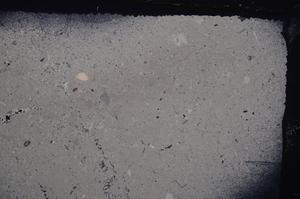 Cross Polarized, E42094