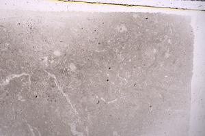 Plane Polarized, E42094