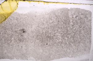 Plane Polarized, E42095