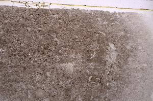 Plane Polarized, E42096