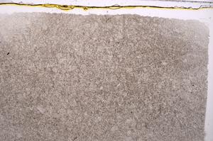 Plane Polarized, E42097