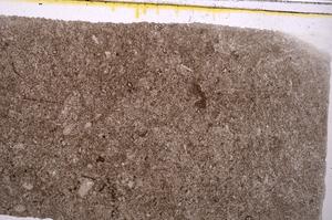 Plane Polarized, E42101