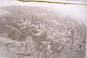Plane Polarized, E42105
