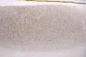 Plane Polarized, E42116
